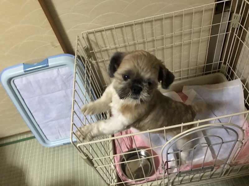 アップロードファイル 1609.jpg