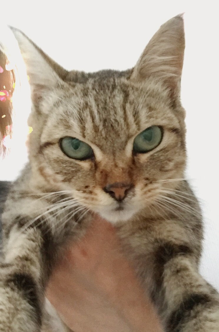 アップロードファイル 1631.jpg